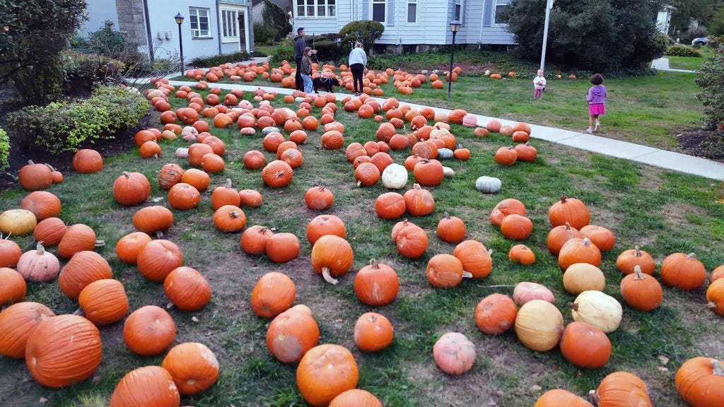Ridley Park church's annual pumpkin sale supports food pantry, families in need — Chester Springs Schools news
