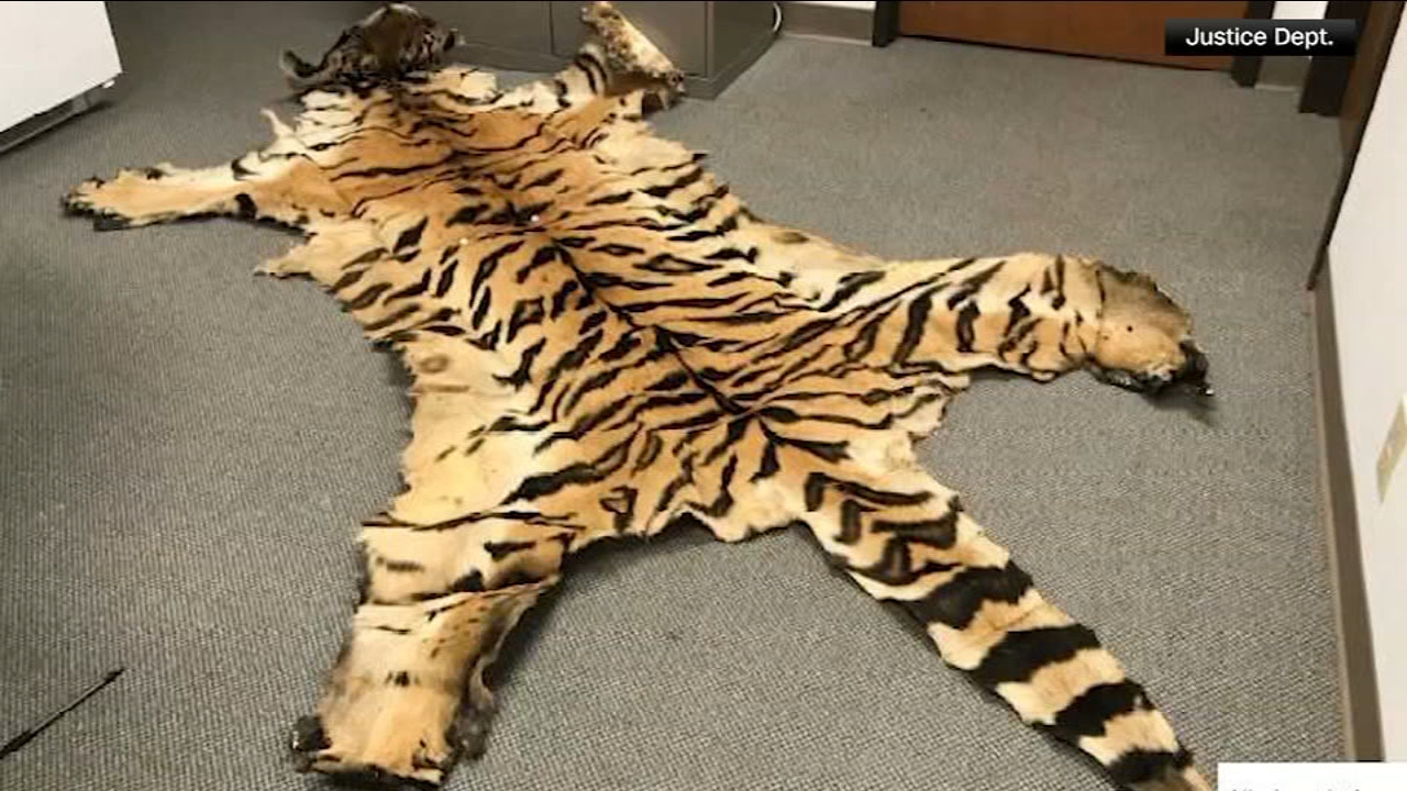 California couple pleads guilty to trafficking wildlife
— Chester Springs Community news
